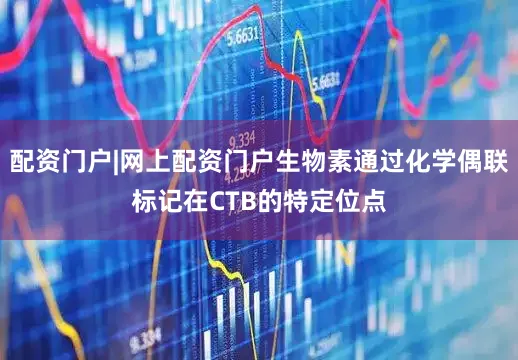 配资门户|网上配资门户生物素通过化学偶联标记在CTB的特定位点