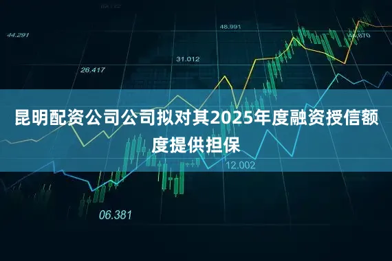 昆明配资公司公司拟对其2025年度融资授信额度提供担保